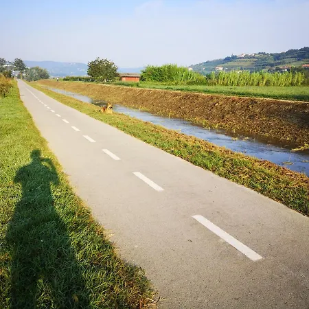 Istrian Lux By Istrian Koper