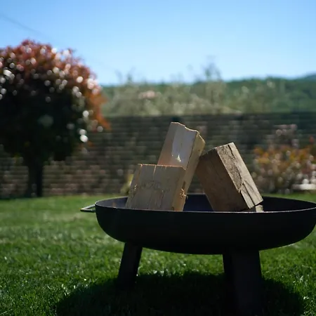 Istrian Lux By Istrian