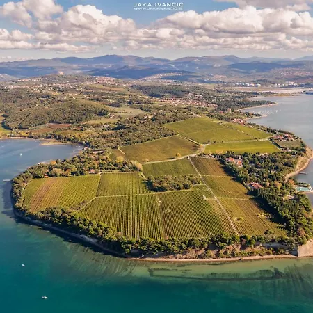 Istrian Lux By Istrian *