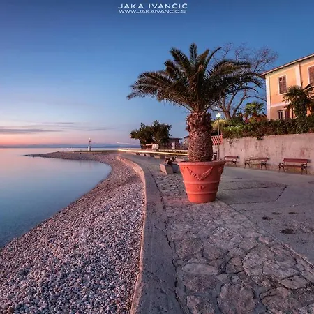 Istrian Lux By Istrian