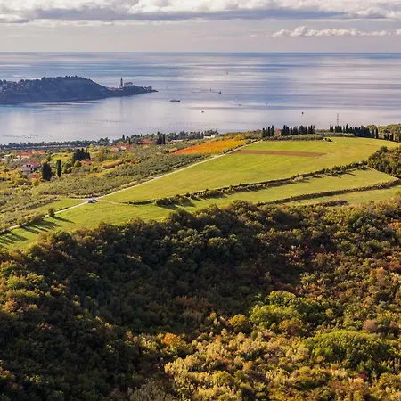 Istrian Lux By Istrian