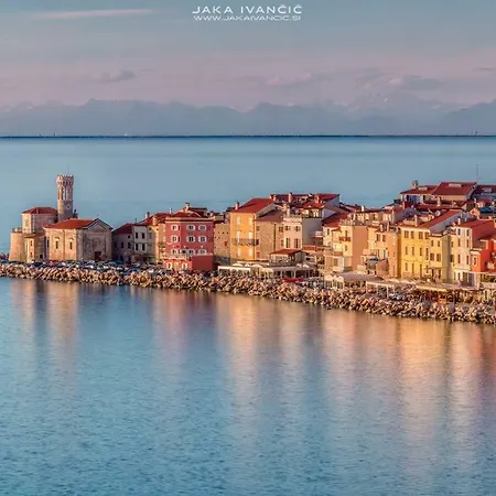 Istrian Lux By Istrian * Capodistria
