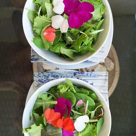 Istrian Lux By Istrian