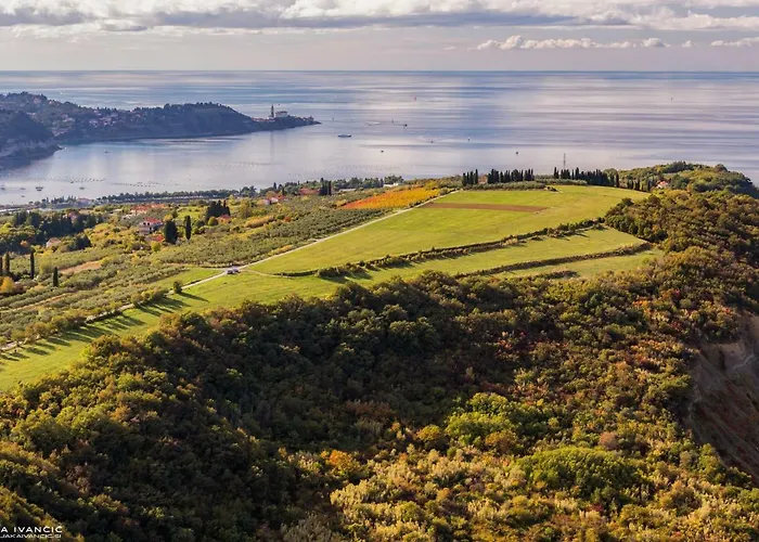 Istrian Lux By Istrian