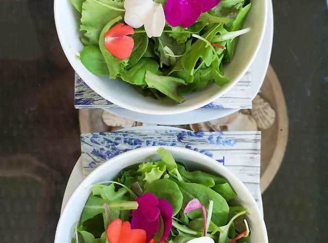 Istrian Lux By Istrian